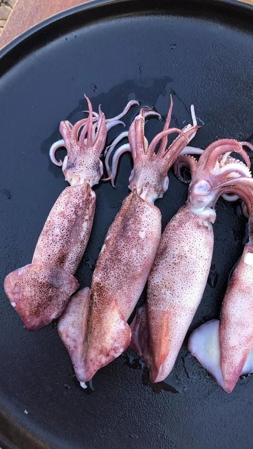 【京东包邮】450g*4盘79笔管鱼鲜活冷冻保留原浆原色零冰衣鲜度和肉质的韧劲基地直邮 商品图5