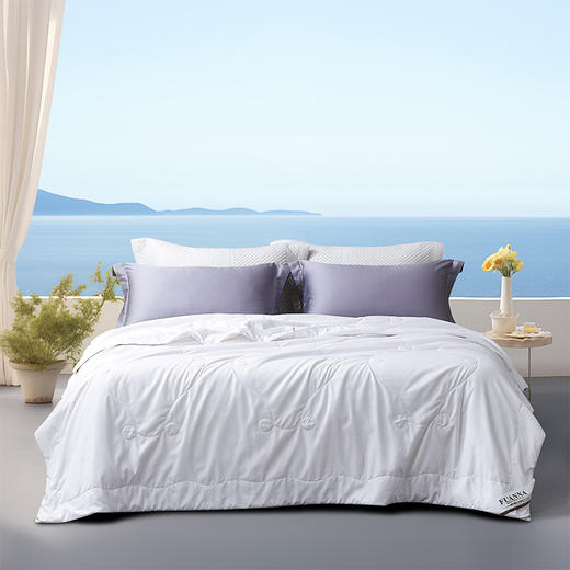 富安娜(FUANNA) 沁雅蚕丝被203*229cm 商品图2