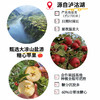 大凉山糖心苹果干 源于2700米高海拔产区 低温慢烘优选原材  原切苹果干50g*2瓶 商品缩略图2