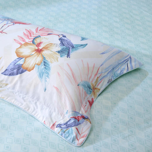 富安娜(FUANNA)抗菌磨毛四件套-意境时光 商品图2