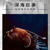 深海巨渊：探索海洋深处的生命奥秘 商品缩略图3