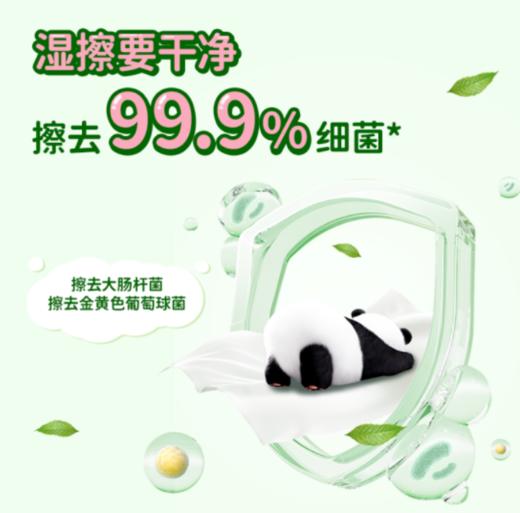 清风草本1层湿厕纸 40片6包一箱 商品图5