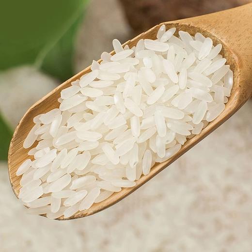 未尝不可  五常稻花香（紫）  新米 东北大米10斤 商品图1