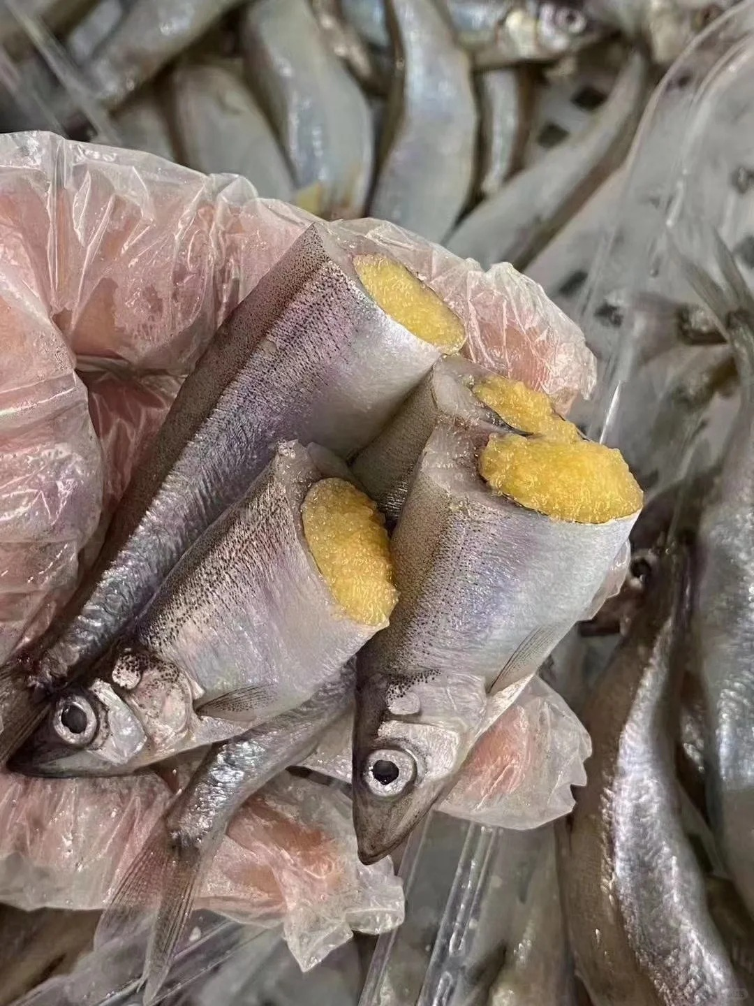 & 爆籽多春鱼（不用杀220g/盒约9只）高蛋白，香煎 烤  炸！超级香‼活冻
