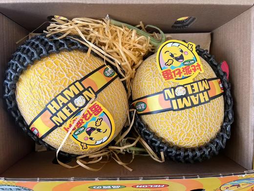 周日取货：【蛋仔派对黄金哈密瓜】一个3.5斤左右，甜蜜香甜，风味浓郁，果肉金黄！ 商品图8