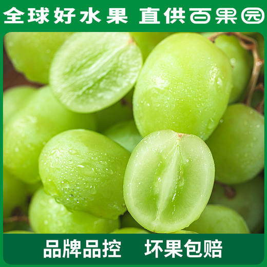 PAGODA百果园 B级-进口无核青提（秋天脆）2斤家庭装 商品图1