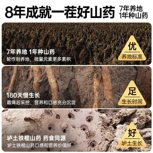 铁棍山药粉山药雪花片冲饮代餐早餐饱腹河南焦作温县铁棍怀山药 商品图2