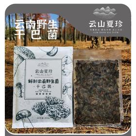 云山夏珍 鲜制云南野生干巴菌