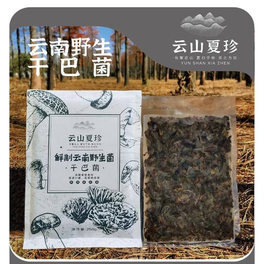 云山夏珍 鲜制云南野生干巴菌 商品图0