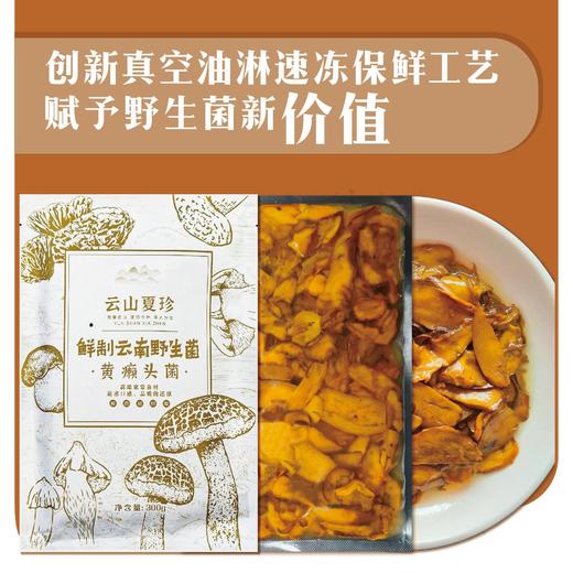 云山夏珍 鲜制云南野生黄牛肝菌 商品图2