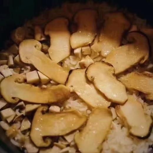 林端上品 鲜制云南野生松茸菌 商品图2