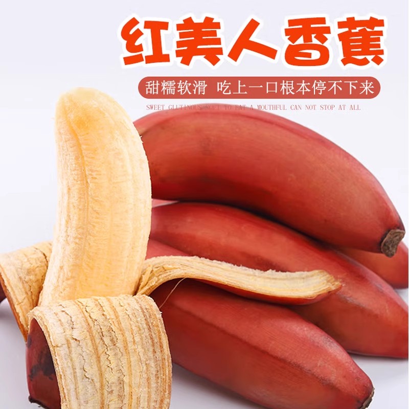 又叫“美人蕉”“红皮香蕉” 🍌淡淡兰花香 软糯香甜可口😋【海南水果咖啡蕉5斤净果礼盒】顺丰/京东陆运随机发