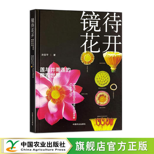 镜待花开  莲与并蒂莲的微观世界【官方正版，可开发票】 商品图1