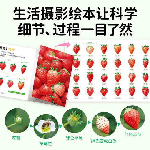 【点读版】好喜欢科学·好喜欢的大自然：全11册（平） 商品图4