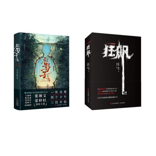 看不见影子的少年+狂飙 商品图0