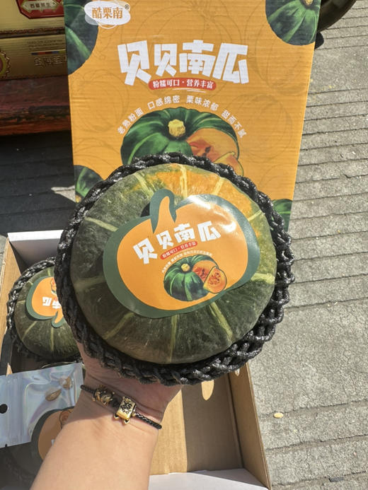 原种日本 惠和贝贝南瓜超大果 商品图1