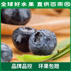 A级-蓝雾蓝莓（大）125g 6盒家庭装 商品缩略图3