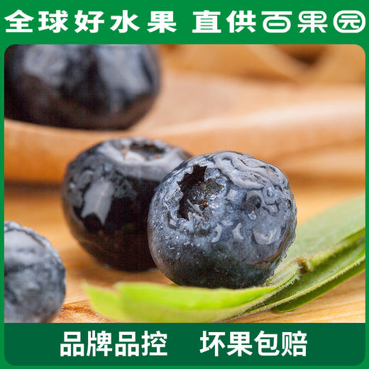 A级-蓝雾蓝莓（大）125g 6盒家庭装 商品图3