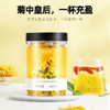 杞里香金丝皇菊 商品缩略图1