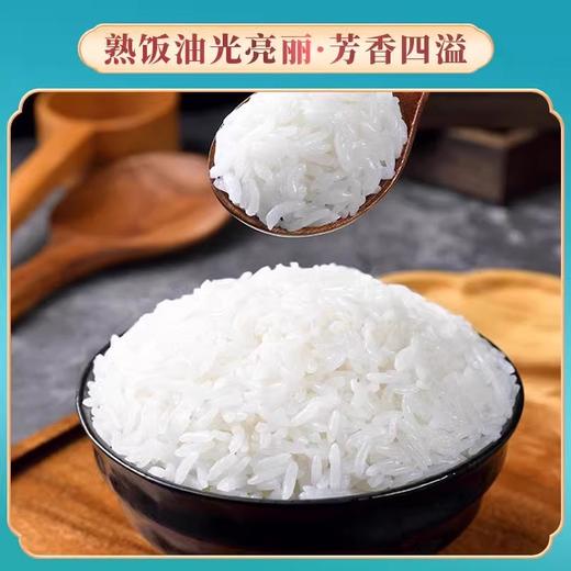 未尝不可  五常稻花香（红） 东北大米10斤新米 商品图2