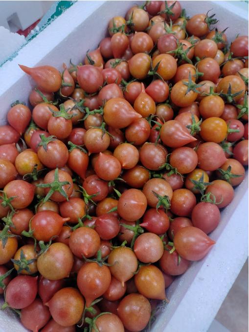 陈艺凯铁桃柿子一箱 商品图0