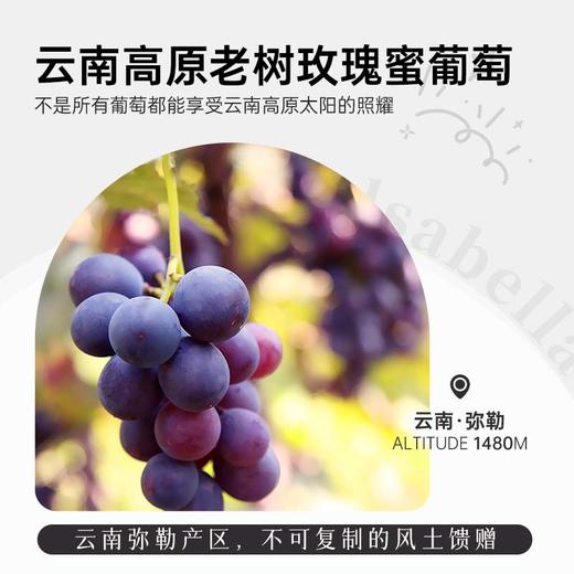 【288元任选6件】云南红4星老树干红葡萄酒13度750ml弥勒酒庄 商品图4
