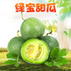 【分仓直发包邮】绿宝甜瓜1斤（2-3个）（单果200g+） 商品缩略图0