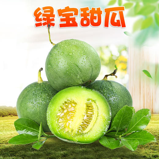 【分仓直发包邮】绿宝甜瓜1斤（2-3个）（单果200g+） 商品图0