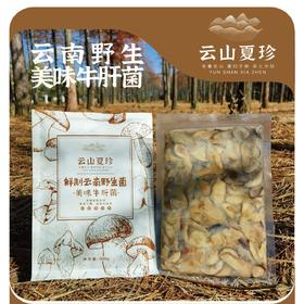 云山夏珍 鲜制云南野生美味牛肝菌