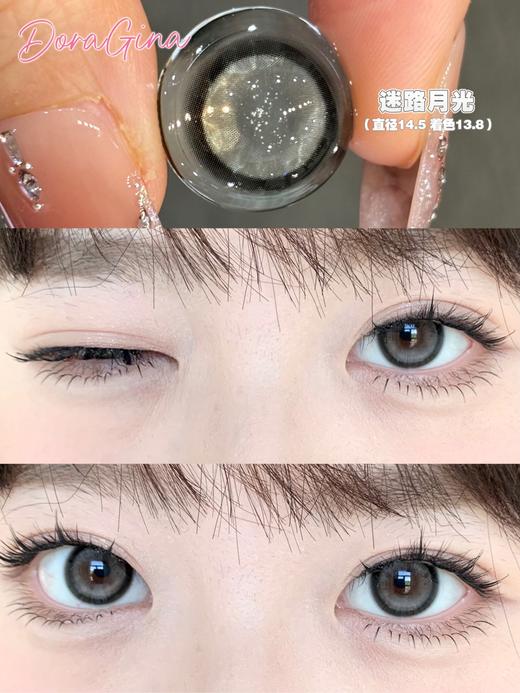 Doragina半年抛美瞳 迷路月光 14.5mm 商品图0