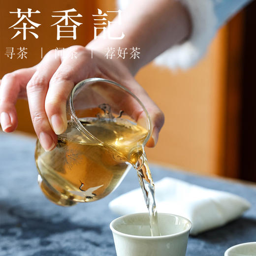 茶香记 如怡白牡丹015高等级福鼎老白茶特级牡丹王芽头饱满 毫香蜜韵 商品图5