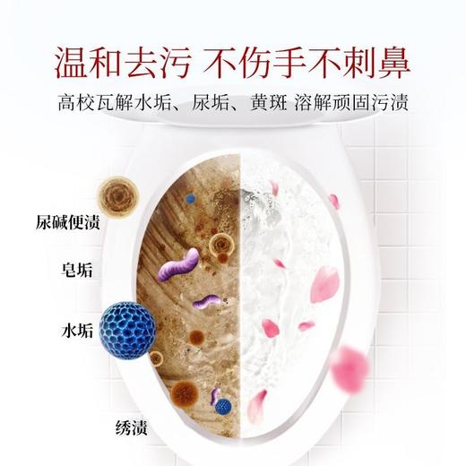 崇扬洁厕净350ml 商品图3