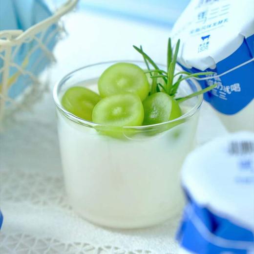 【醇香奶味】马三三 无糖原味酸奶 12瓶 新疆纯正的酸奶口感 商品图3