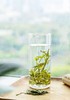 【2025年新茶】正宗西湖龙井茶 明前绿茶AAA特级（正宗西湖龙井，认准官方茶标） 商品缩略图1