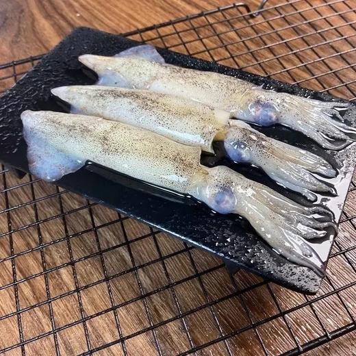 【京东包邮】450g*4盘79笔管鱼鲜活冷冻保留原浆原色零冰衣鲜度和肉质的韧劲基地直邮 商品图4