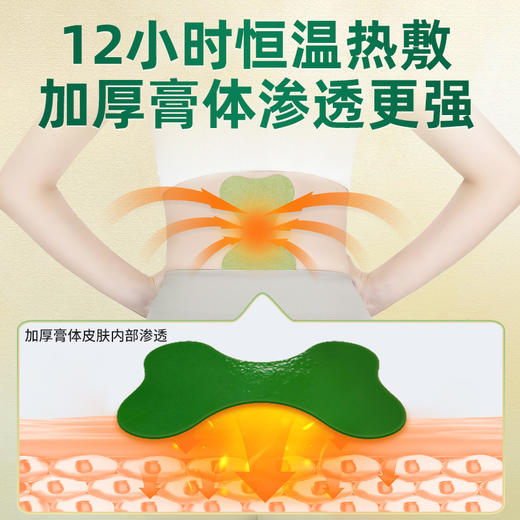 百年扁氏腰椎贴加强版 商品图3