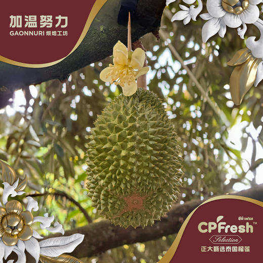 泰国猫山王鲜榴莲礼盒/个 商品图2