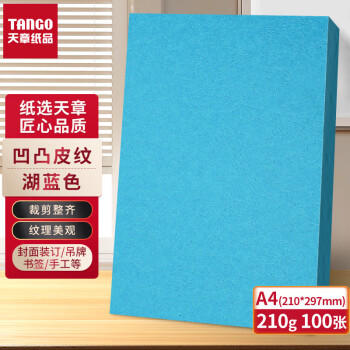 天章 （TANGO）A4封面纸 双面凹凸皮纹纸 压纹纸 云彩纸 封皮纸 彩色卡纸标书封面 硬厚手工卡纸湖蓝色210g100张 商品图2