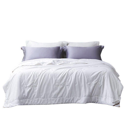 富安娜(FUANNA) 沁雅蚕丝被203*229cm 商品图1