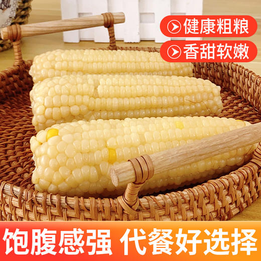 【超值10只装】内蒙特产甜糯玉米 草原黄金小玉米 内蒙赤峰娃娃玉米130g*10穗亮袋真空锁鲜装 商品图2