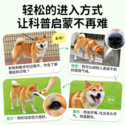 【点读版】好喜欢科学·好喜欢的大自然：全11册（平） 商品图5