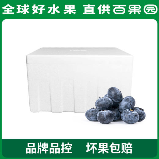 A级-蓝雾蓝莓（大）125g 6盒家庭装 商品图5