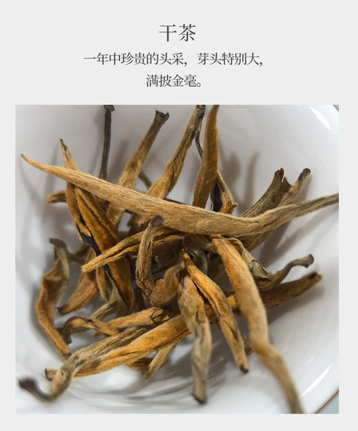 大金芽-特大芽 内部福利团 头采500克 蜜香 商品图1