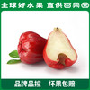 PAGODA百果园 A级-黑金刚莲雾（大）3斤装 商品缩略图0