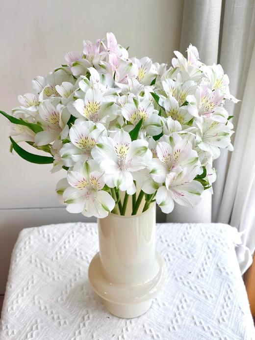 【随机色水仙百合】10支/份 商品图3