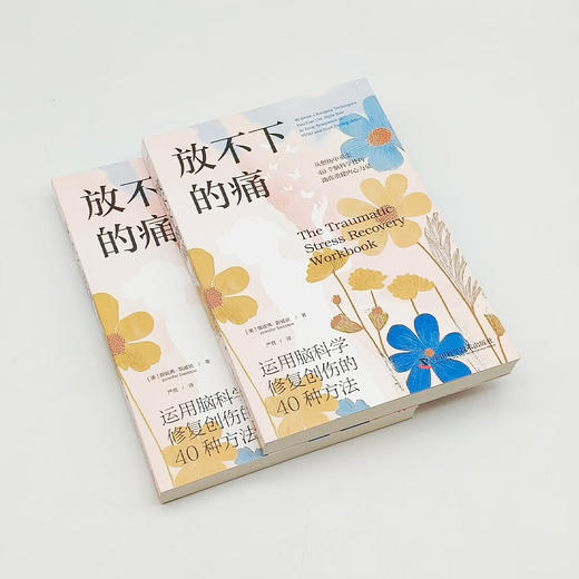放不下的痛：运用脑科学修复创伤的40种方法（神经科学专家带你深入了解创伤背后的脑机制！） 商品图3