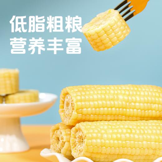 【有机食品】 赤峰有机认证玉米 甜糯玉米真空锁鲜装 内蒙赤峰有机甜糯玉米白玉米/黄玉米/黑玉米230g*8穗/件亮袋轻食控糖适配 商品图0