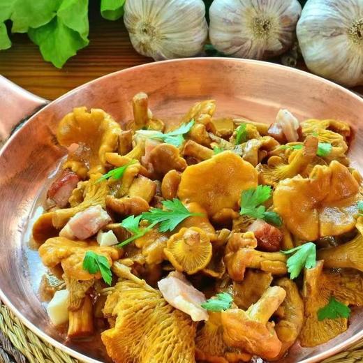 林端上品 鲜制云南野生鸡油菌 商品图4