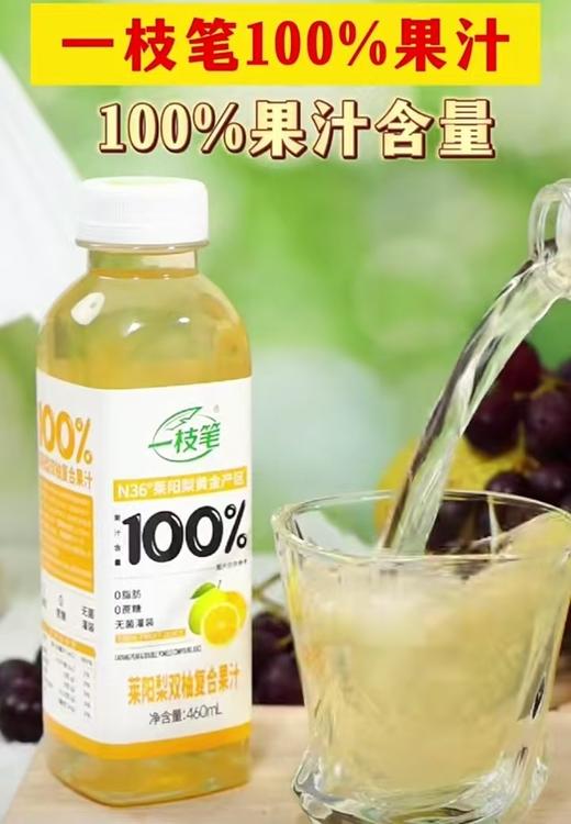 一支笔100%莱阳梨双柚复合果汁 商品图0