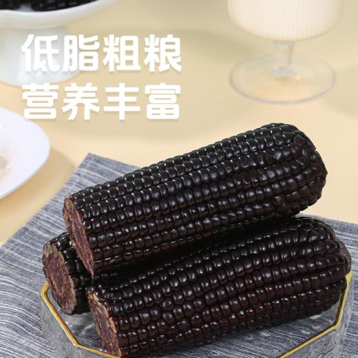 【有机食品】 赤峰有机认证玉米 甜糯玉米真空锁鲜装 内蒙赤峰有机甜糯玉米白玉米/黄玉米/黑玉米230g*8穗/件亮袋轻食控糖适配 商品图5